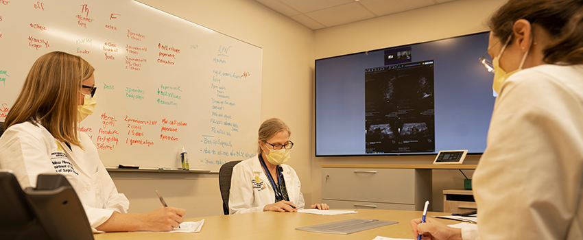 Brighton Breast Cancer Clinic staff discussing patient care options