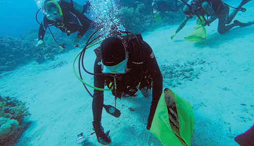 David Sherman, Ph.D. scuba diving