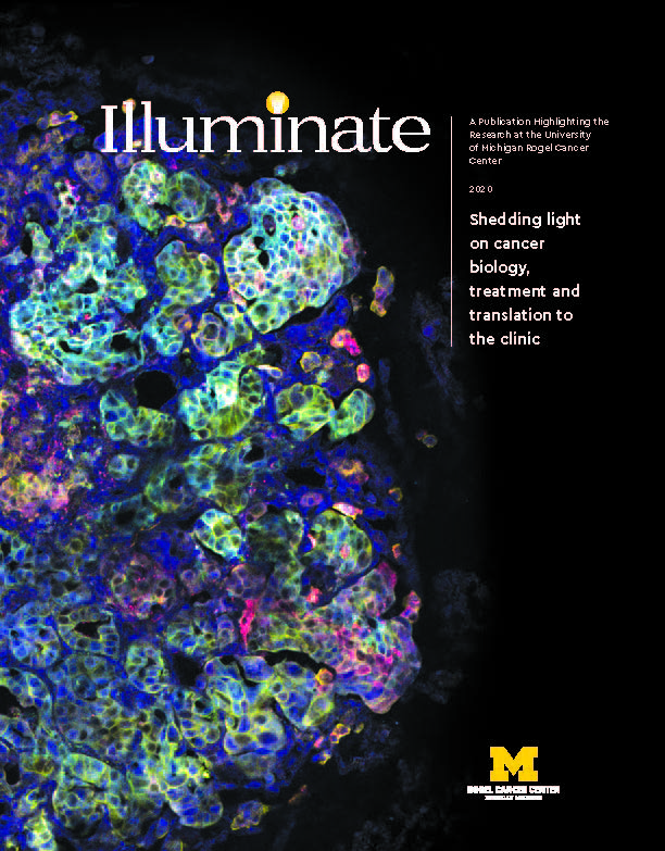 cover of Illuminate, 2020