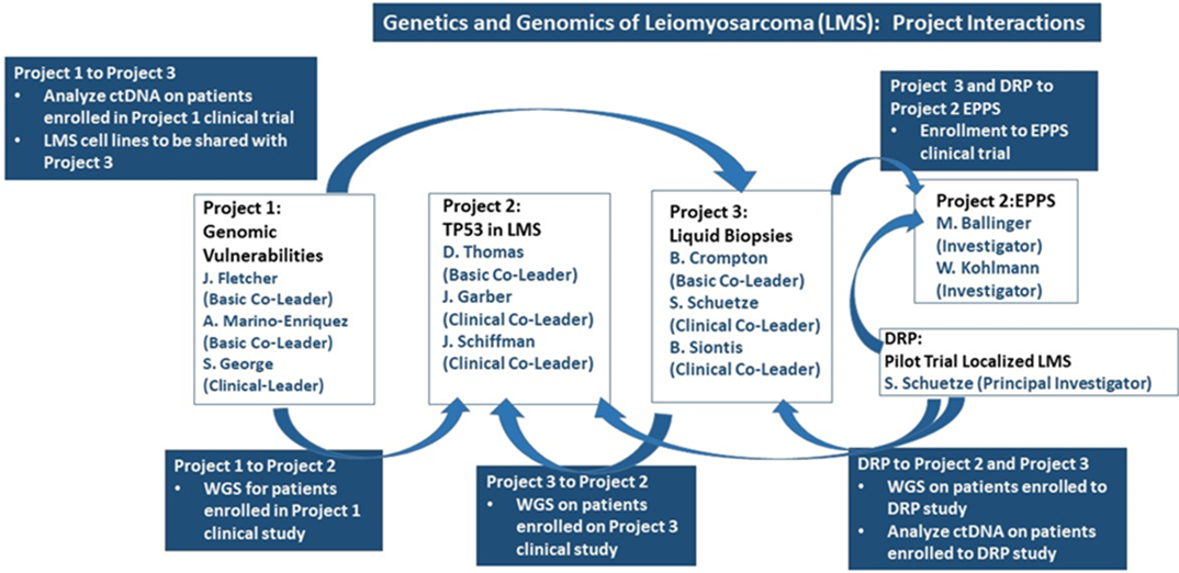 Flow chart of how LMS SPORE projects interact