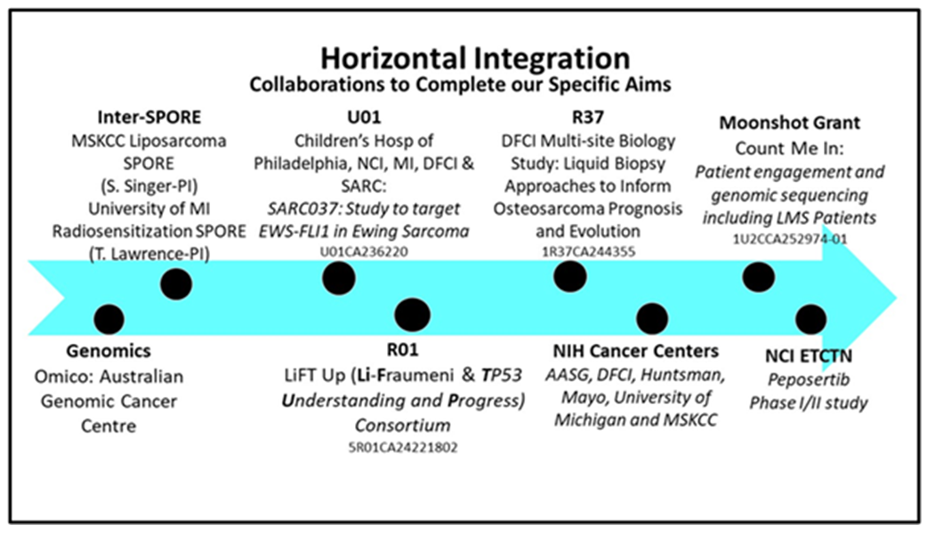 Flow chart of how LMS SPORE investigators work collaboratively