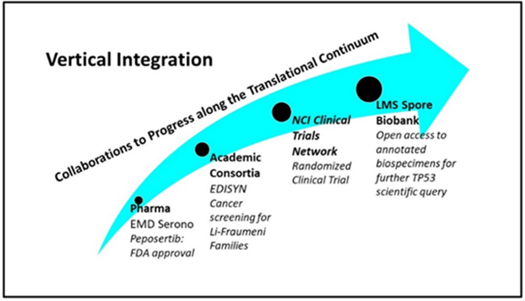 Flow chart of LMS SPORE project collaborations for translation