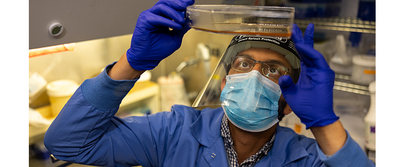 an holds up specimen and examines it from beneath