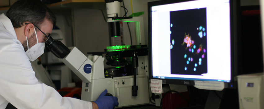 Mark Slayton analyzing cells in the Merajver lab