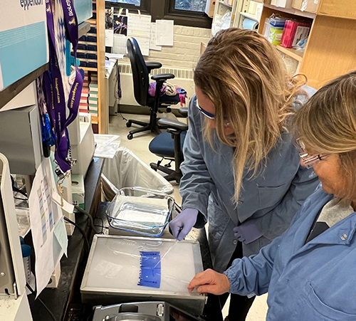 Rachel Sexton and Nathalie Vandecan analyzing gel electrophoresis