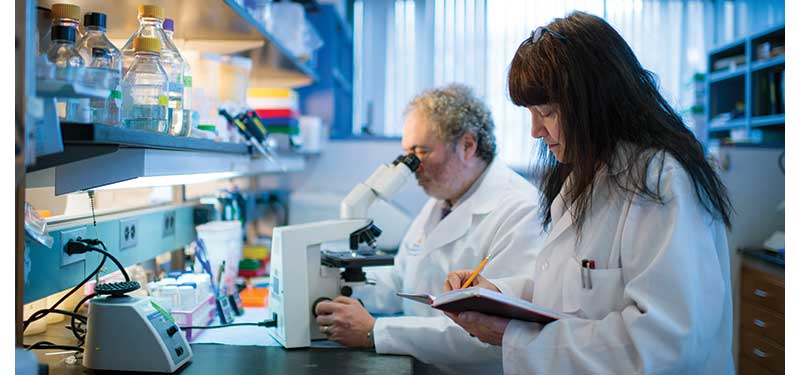 Maria Castro, PhD and Pedro Lowenstein, MD, PhD in the lab