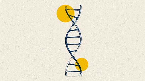 Artistic representation of the DNA helix