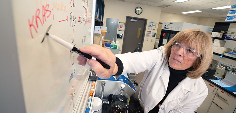 Judith Sebolt Leopold writes on a white board in her lab