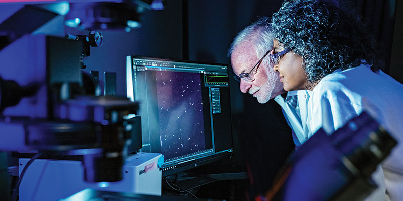 Max Wicha, MD and Sunitha Nagrath, PhD look at a monitor in their lab