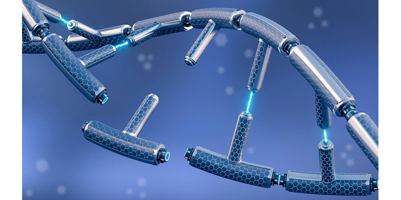 Graphic of a DNA strand that's broken but being repaired