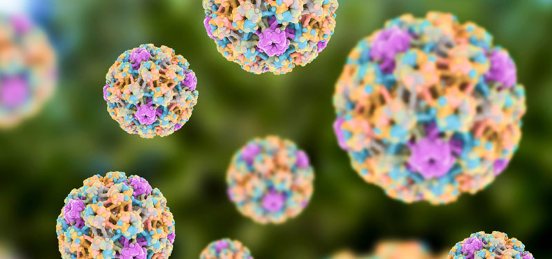 Colorful representation of microscopic HPV cells
