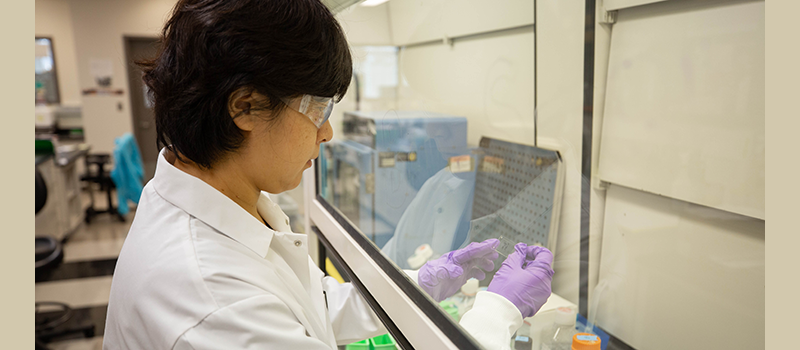 Young asian woman looking at a slide in a lab